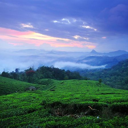 Violet Woods Hotel Munnar Buitenkant foto